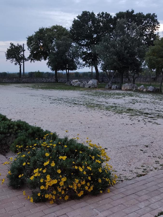 Supramurgia Agribistrot Cassano delle Murge Luaran gambar